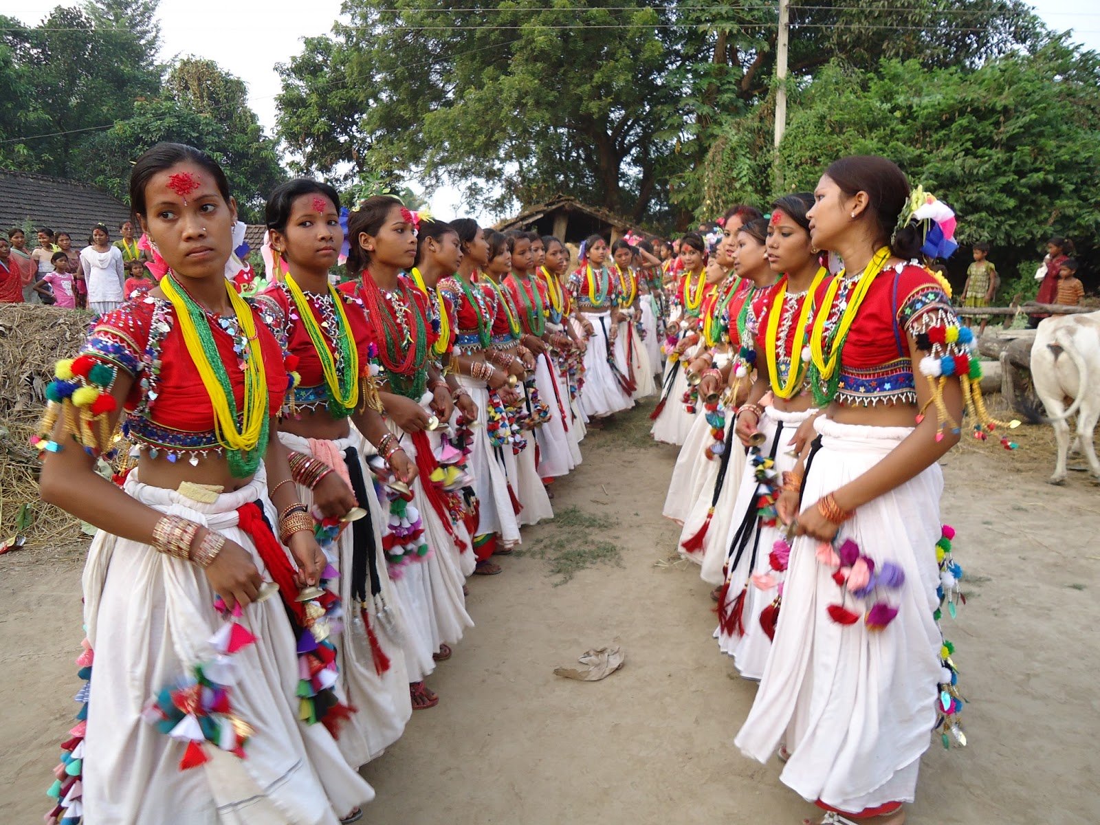 थारु समुदायले आज अत्तवारी पर्व मनाउँदै, लुम्बिनी प्रदेशका ६ जिल्लामा सार्वजनिक बिदा