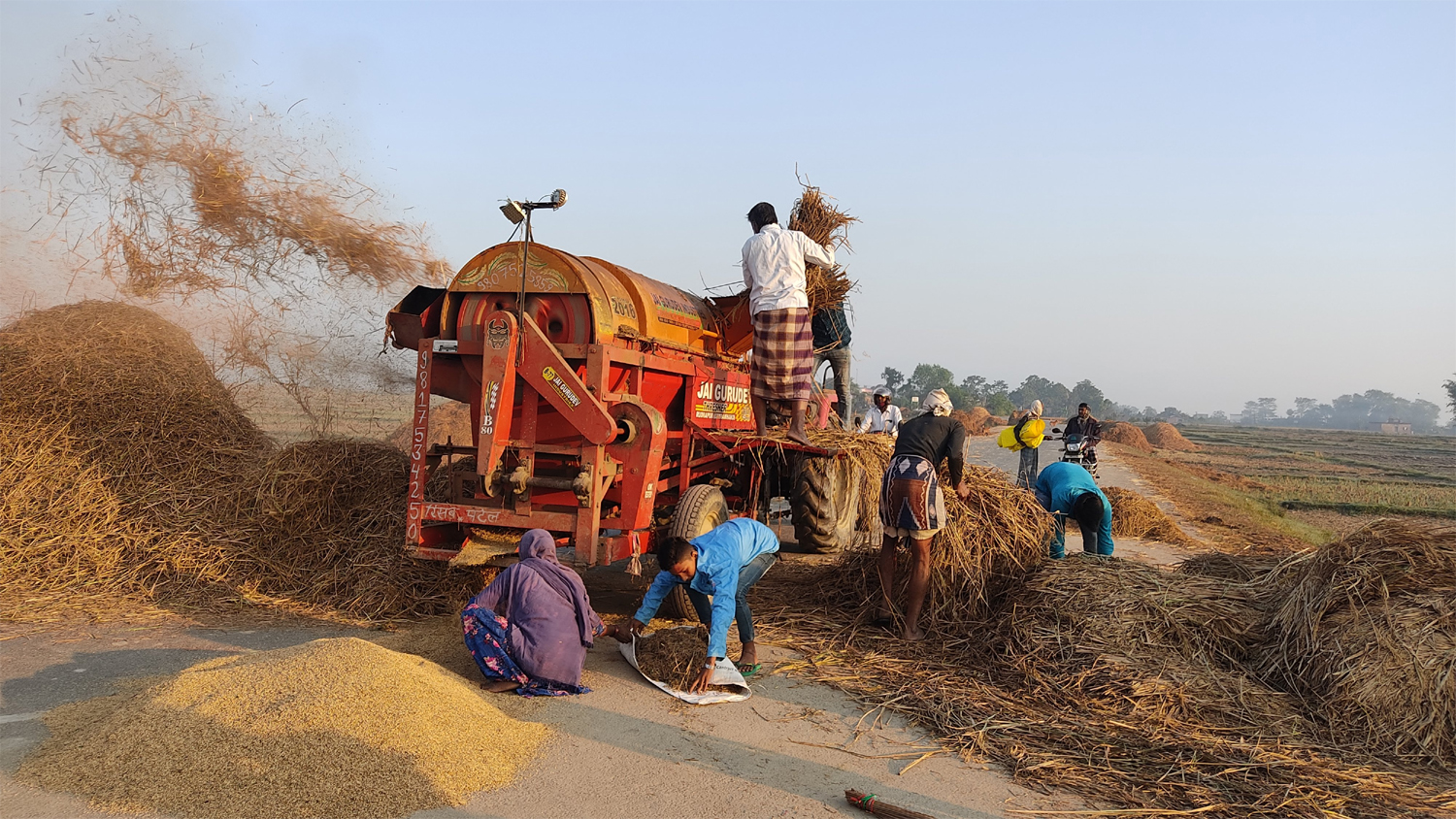 दाङमा धान दाउने थ्रेसरमा सल बेरिँदा ६० वर्षीया महिला घाइते