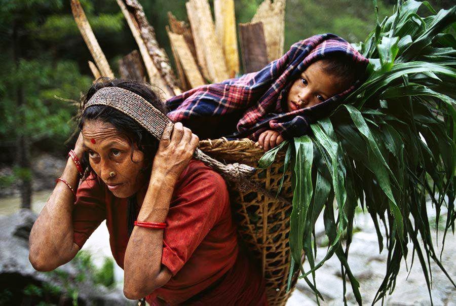 आज श्रद्धा, सम्मान र कृतज्ञताका साथ माता तीर्थ औंशी मनाईंदै
