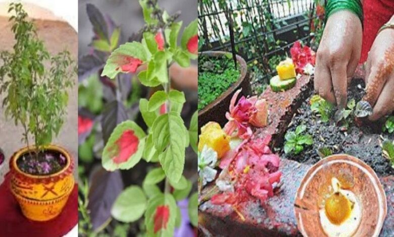 आज हरिशयनी एकादशी मनाइँदै