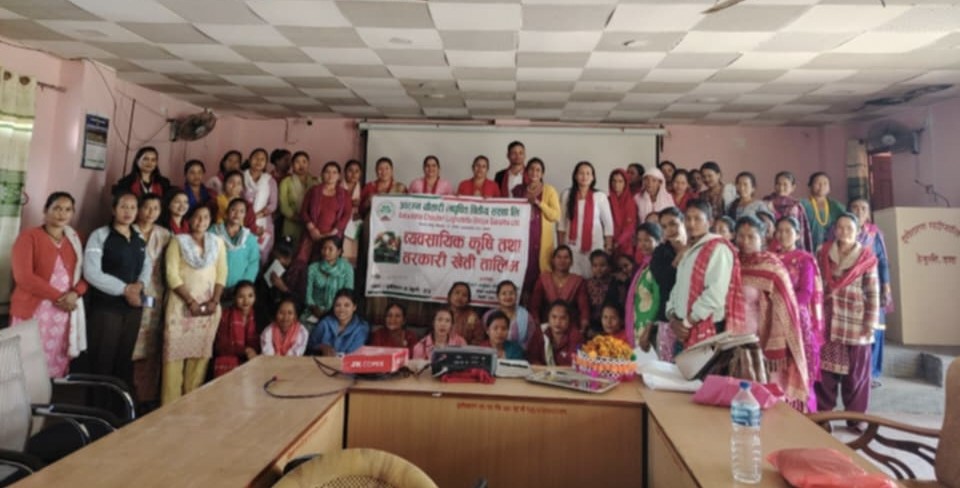 आरम्भ चौतारी लघुवित्त शाखाले दियो व्यावसायिक कृषि तथा तरकारी खेती तालिम
