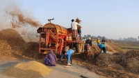 दाङमा धान दाउने थ्रेसरमा सल बेरिँदा ६० वर्षीया महिला घाइते