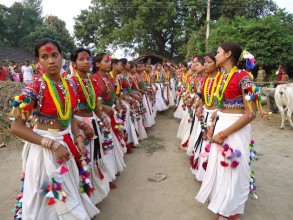 थारु समुदायले आज अत्तवारी पर्व मनाउँदै, लुम्बिनी प्रदेशका ६ जिल्लामा सार्वजनिक बिदा