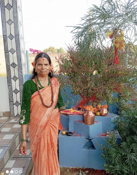 आज हरिबोधनी एकादशी (तुलसी विवाह)